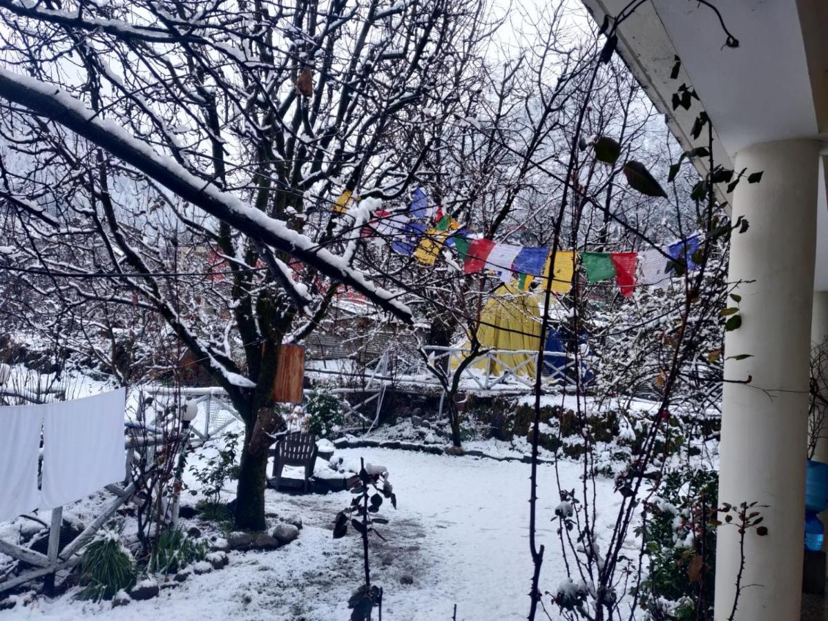 Mars Monkey Hostel & Cafe Manāli Kültér fotó